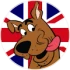Scooby 25