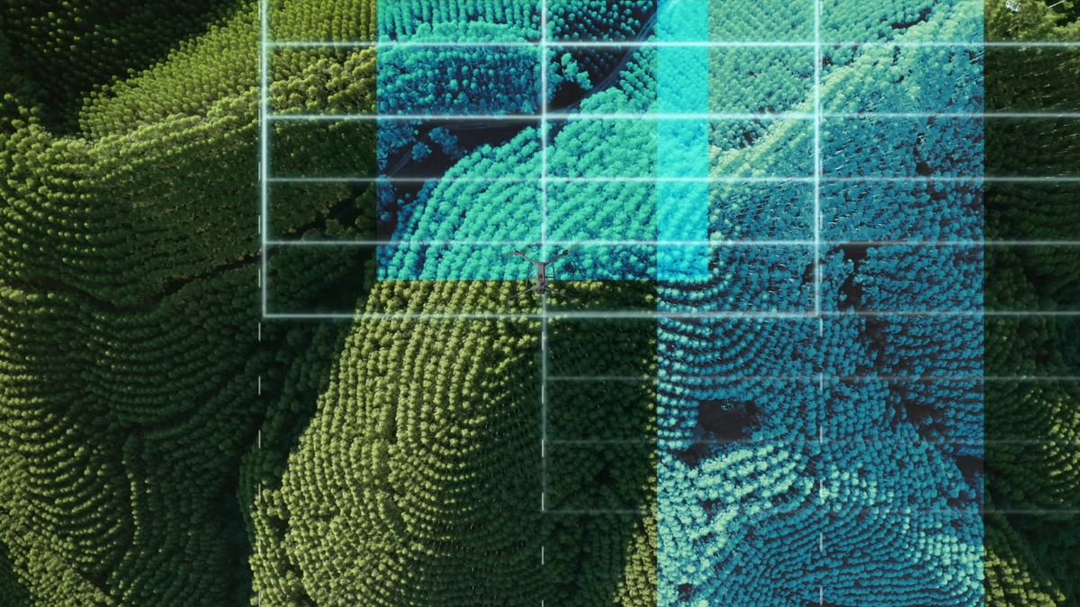 DJI Zenmuse L 3 Point Cloud