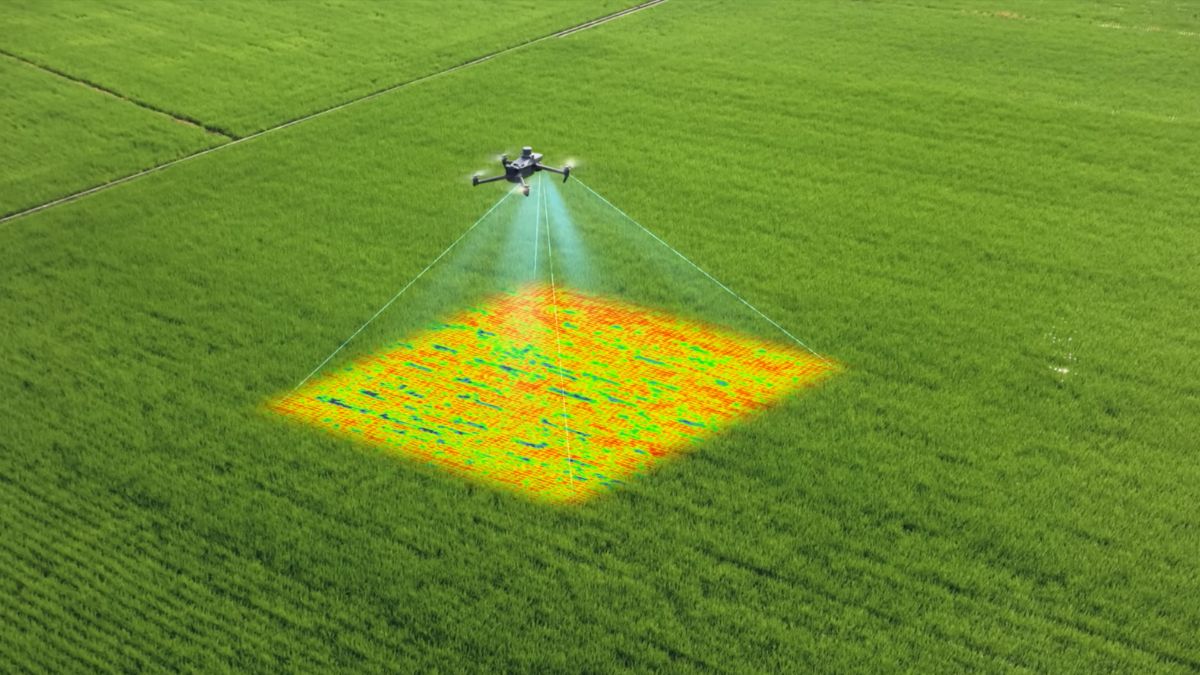 DJI Mavic 3 Multispectral