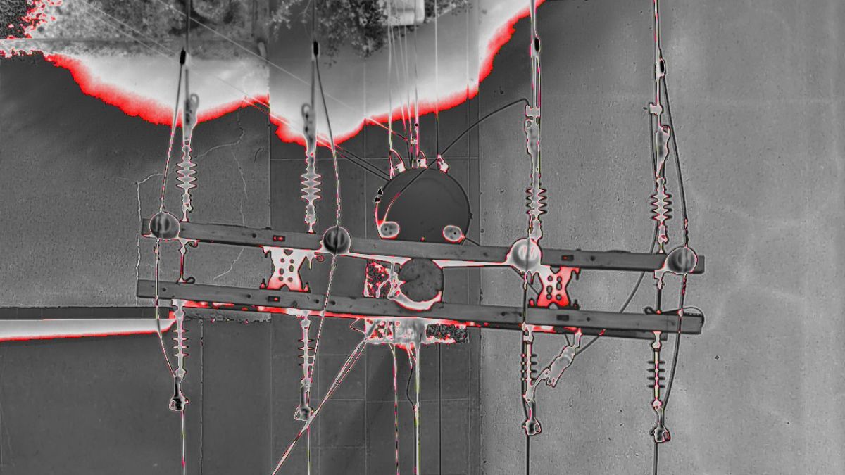 Overhead line and network inspection