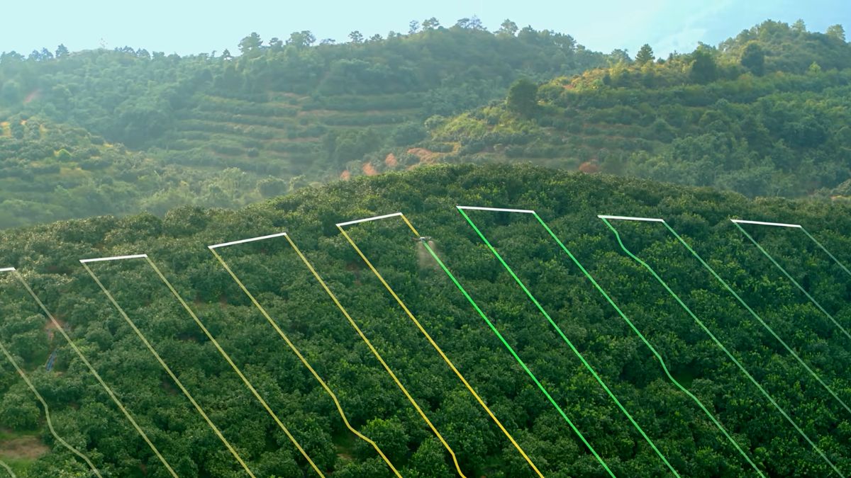 Measurement, records and boundaries